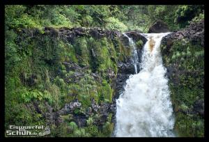 EISWUERFELIMSCHUH - Hawaii Big Island AKAKA Waterfalls State Park (56)