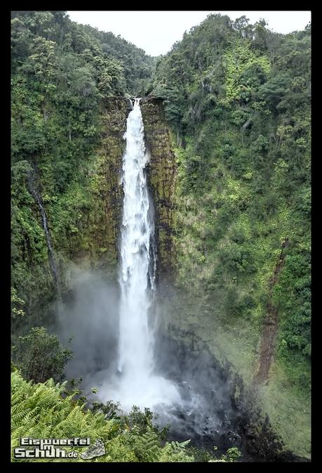 EISWUERFELIMSCHUH - Hawaii Big Island AKAKA Waterfalls State Park (60)