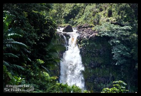 EISWUERFELIMSCHUH - Hawaii Big Island AKAKA Waterfalls State Park (47)