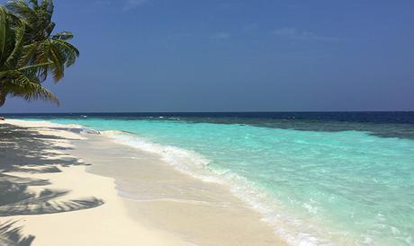 Reisebericht Malediven - Angsana Ihuru Strand