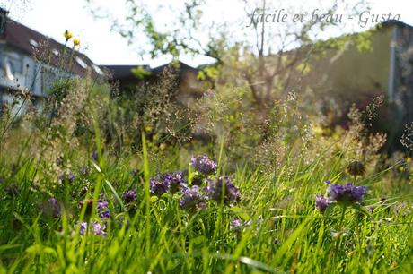 Cam Underfoot #4: Gras