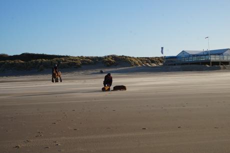 Der Strand gehört im Winter den Hunden, Pferden und wenigen Spaziergängern
