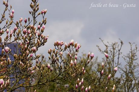 Blumenallerlei