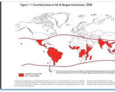 Zika Virus Impfung: vorbeugender Impfschutz – wo und wie?