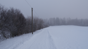 Spuren im Schnee: der Weg hinab in den Röthengraben ist augenscheinlich stark frequentiert.
