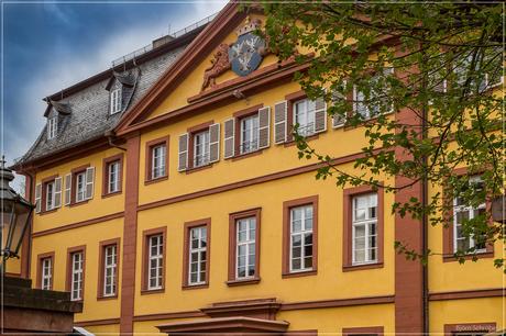 Unterwegs in Amorbach | Folge 3 (3)