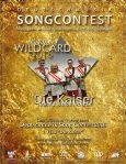 Deutschmusik Song Contest: Die Wildcard-Gewinner 2016
