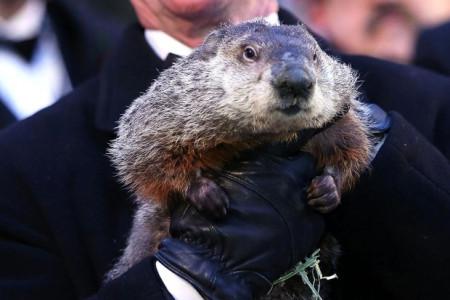 Annual-Groundhog-s-Day-Ritual-Held-In-Punxsutawney-Pennsylvania
