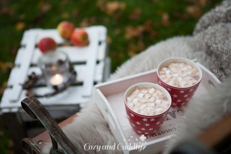 Stimmungsvolle und schöne Ideen um den Herbst zu geniessen. Zum beispiel mit Kakao und Marshmallows am Lagerfeuer im Garten