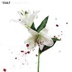 CD-REVIEW: The Cult – Hidden City