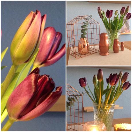 Friday-Flowerday – oder – Da seid ihr ja: Tulpen