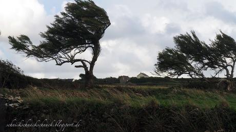 Bizarre Landschaft Cotentin