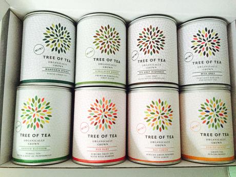 PRODUKTTEST: Tree of Tea – von Detox bis hin zu purem Genuss