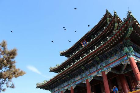 China Urlaub Erfahrungen Peking – Verbotene Stadt & Chinese New Year