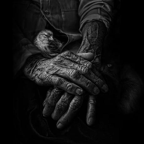 Hände: dualseelen.org