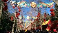 China Urlaub Erfahrungen Peking Ditan Park und Chinese New Year Teil 2