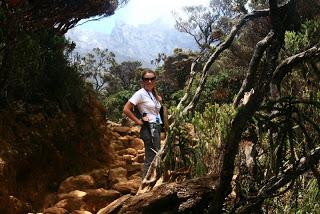 Erlebnisreise Malaysia: Mount Kibalu
