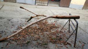 DIY: Natur-Kratzbaum