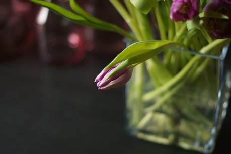 Blog + Fotografie by it's me! - fim.works - Blüte einer lilafarbenen Tulpe