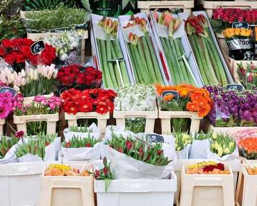 Amsterdam – Where to stay, what to do & where to eat