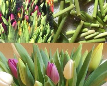 Friday-Flowerday – oder – Voll auf Tulpe