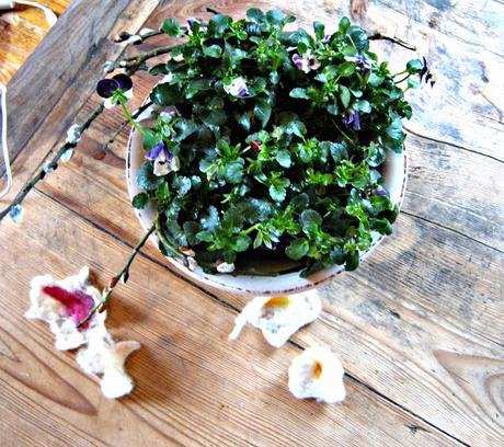 Filzblumen  kinderleicht in 3 Schritten herstellen