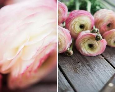 Herzlich willkommen im neuen Seelensachen „Haus“