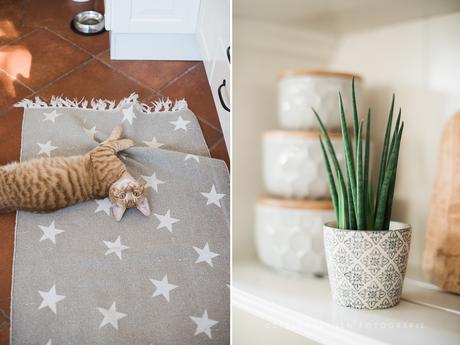 Mal wieder blau machen. Mal wieder blau machen.