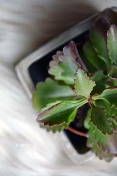 Glücksmomente der Woche_Weltbestebesteabend