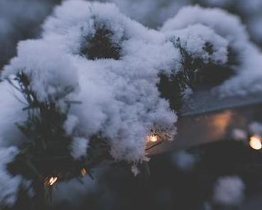 Winterbilder und meine Gedanken zum Jahresanfang