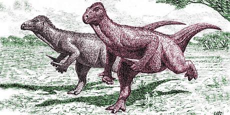 warum wurden die Dinosaurier ausgestorben