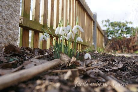 Bissi Frühling