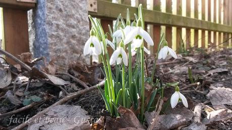 Bissi Frühling