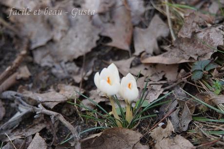 Bissi Frühling