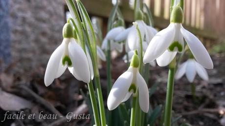 Bissi Frühling