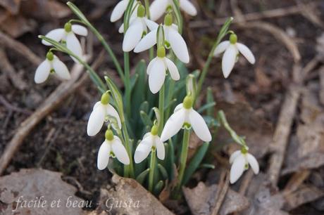 Bissi Frühling