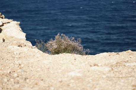 Blog + Fotografie by it's me! - fim.works - Cam underfoot - Ibiza, Portinatx - Blick auf das Meer, über die Klippe