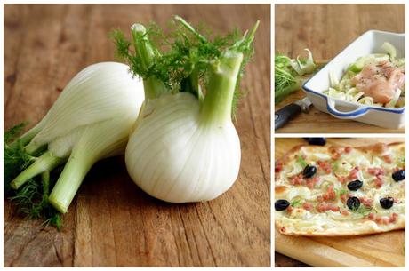 Collage Fennel