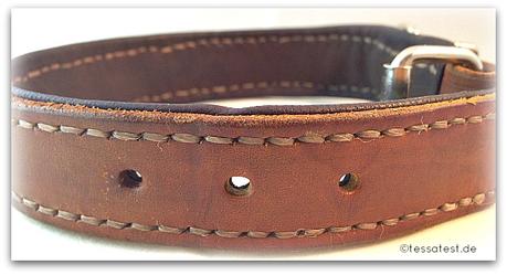 Lederhalsband für Hunde von Dogs Accessoires im Test