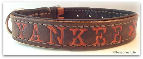 Lederhalsband für Hunde von Dogs Accessoires im Test