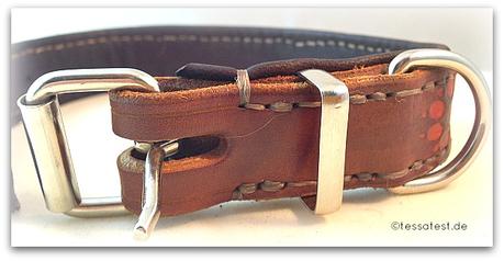 Lederhalsband für Hunde von Dogs Accessoires im Test