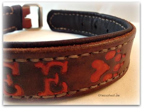 Lederhalsband für Hunde von Dogs Accessoires im Test