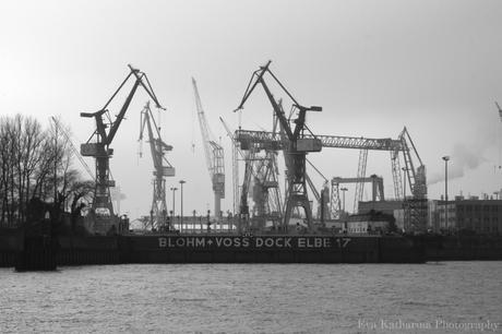 Hamburg harbor II