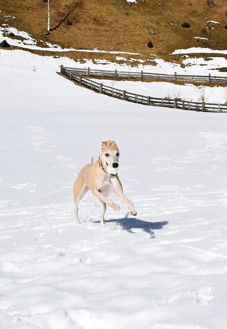 Flying Lucy, Sweetheart Eloise und ein Wochenende in den Bergen