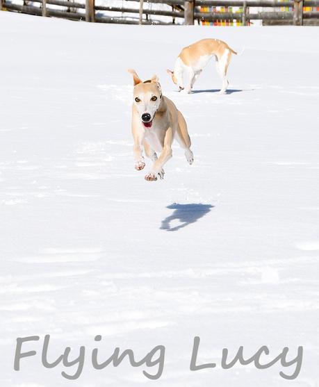 Flying Lucy, Sweetheart Eloise und ein Wochenende in den Bergen