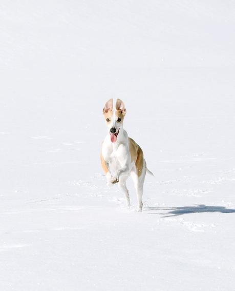 Flying Lucy, Sweetheart Eloise und ein Wochenende in den Bergen