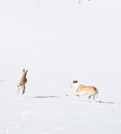 Flying Lucy, Sweetheart Eloise und ein Wochenende in den Bergen