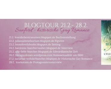 [Blogtour] Sunford - Gay Romance Historisch