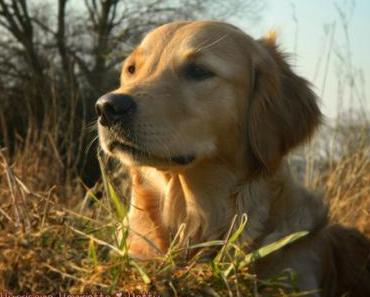 Wieder ein Ziel erreicht