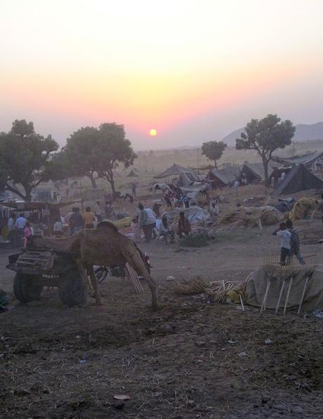 Reisereportage: Paranoia Pushkar - Atemlos in Rajasthan